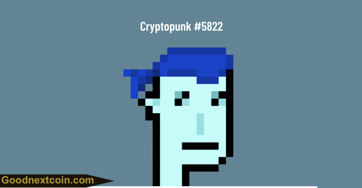 Cryptopunk #5822