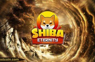 Игра под названием Shiba Eternity