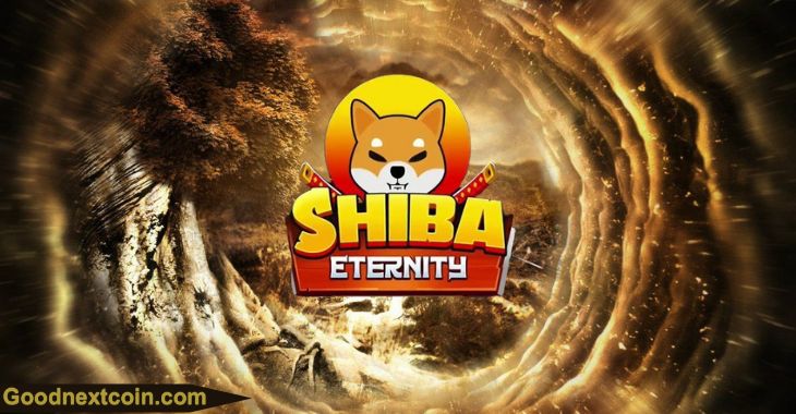 Игра под названием Shiba Eternity