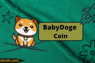 Описание, цена и график монеты BabyDoge Coin
